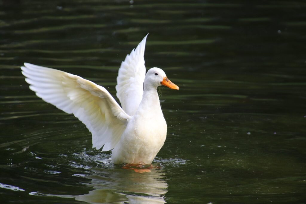 清潔感のある香水で男性におすすめのアイテムは？