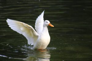 清潔感のある香水で男性におすすめのアイテムは？