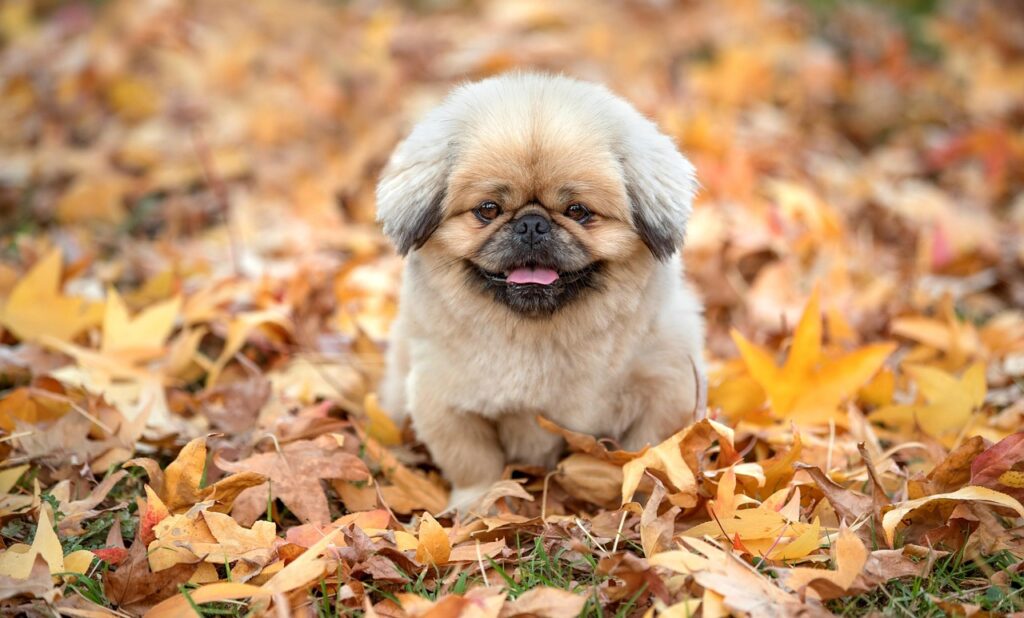 香水を使ったシャンプーでおすすめのメンズ向け商品は？