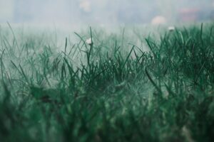 ボディミストでモテる方法はどんなものがある？
