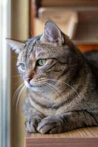 抱きしめたくなる匂いの作り方は？