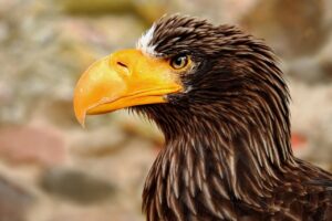 ほんのり香る男性が与える好印象とは？