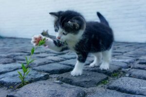 高校生がいい匂いになるための方法は？