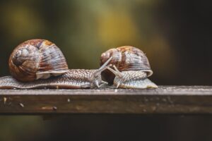 シャンプー選びでいい匂い重視のおすすめ商品は？
