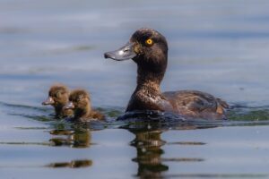 可愛い子の匂いにはどんな特徴があるの？