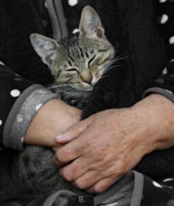 香りで親しみやすく見せる方法とは？
