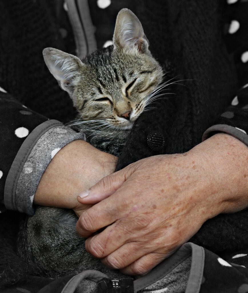 香りで親しみやすく見せる方法とは？